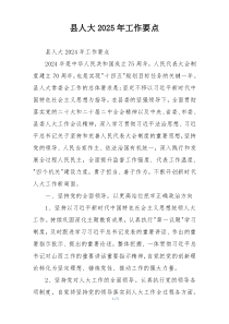 县人大2025年工作要点