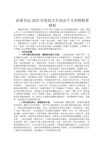 县委书记2026年度民主生活会个人对照检查材料