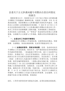 县委关于公文抄袭问题专项整治自查自纠情况的报告