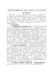 县委宣传部部长在2026年度民主生活会对照检查材料