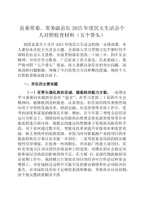 县委常委、常务副县长2026年度民主生活会个人对照检查材料（五个带头）