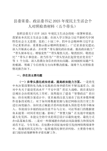 县委常委、政法委书记2026年度民主生活会个人对照检查材料（五个带头）