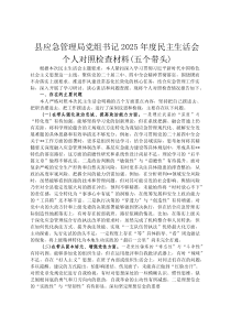 县应急管理局党组书记2026年度民主生活会个人对照检查材料(五个带头)