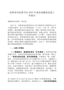 县税务局党委书记2026年述责述廉述党建工作报告