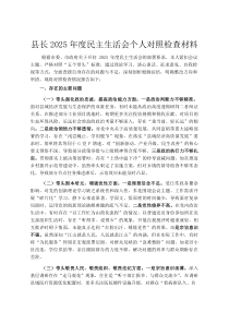 县长2026年度民主生活会个人对照检查材料