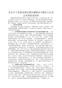 县长关于省委巡视反馈问题整改专题民主生活会对照检查材料