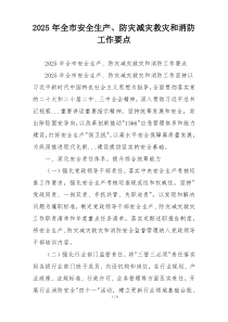 2025年全市安全生产、防灾减灾救灾和消防工作要点
