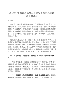 在2026年度县委巡察工作领导小组第九次会议上的讲话