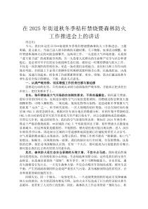 在2026年街道秋冬季秸秆禁烧暨森林防火工作推进会上的讲话