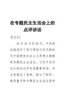 在主题教育民主生活会上的点评讲话