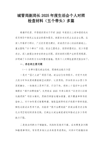 城管局副局长2026年度生活会个人对照检查材料（五个带头）多篇