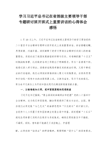 学习习近平总书记在省部级主要领导干部专题研讨班开班式上重要讲话的心得体会感悟