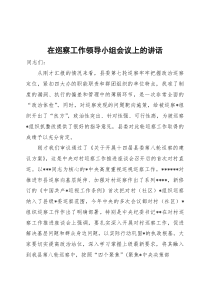 巡察工作领导小组会议上的讲话