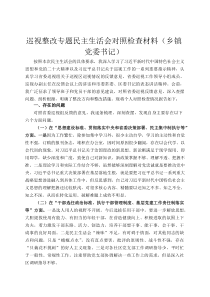 巡视整改专题民主生活会对照检查材料（乡镇党委书记）