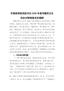 市委政研室党组书记2026年度专题民主生活会对照检查发言提纲