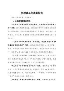 抓党建工作述职报告