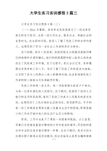 大学生实习实训感悟3篇三