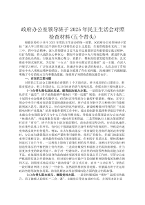 政府办公室领导班子2026年民主生活会对照检查材料(五个带头)