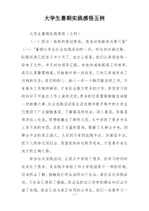 大学生暑期实践感悟五例