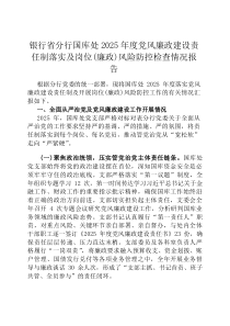 银行省分行国库处2026年度党风廉政建设责任制落实及岗位（廉政）风险防控检查情况报告