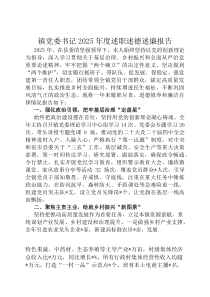 镇党委书记2026年度述职述德述廉报告