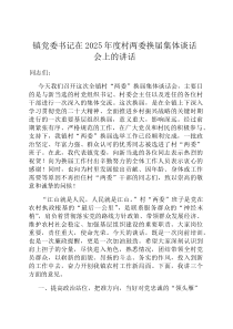 镇党委书记在2026年度村两委换届集体谈话会上的讲话