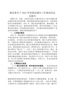 镇党委关于2026年度基层减负工作情况的总结报告