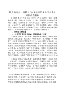 镇党委委员、副镇长2026年度民主生活会个人对照检查材料