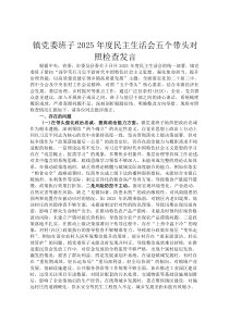镇党委班子2026年度民主生活会五个带头对照检查发言