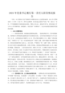 2026年党委书记履行第一责任人职责情况报告