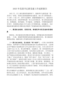 2026年党委书记抓党建工作述职报告