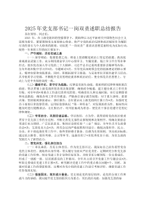 2026年党支部书记一岗双责述职总结报告