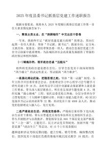 2026年度县委书记抓基层党建工作述职报告