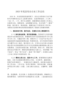 2026年度县局办公室工作总结