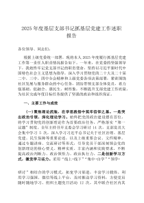 2026年度基层支部书记抓基层党建工作述职报告