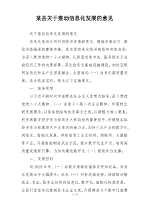 某县关于推动信息化发展的意见