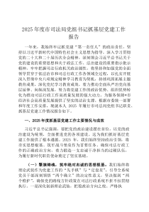 2026年度市司法局党组书记抓基层党建工作报告