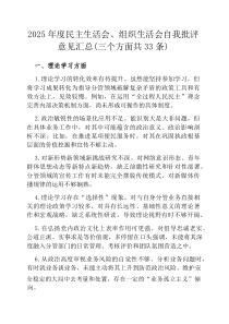 2026年度民主生活会、组织生活会自我批评意见汇总（三个方面共33条）
