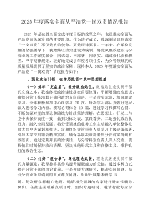 2026年度落实全面从严治党一岗双责情况报告