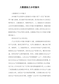 大数据助力乡村振兴