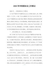 2025年市校园安全工作要点