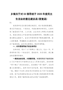 乡镇关于对领导班子2026年度民主生活会的意见建议函（答复函）