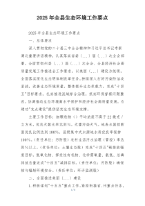 2025年全县生态环境工作要点