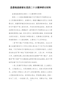 县委统战部部长党的二十大精神研讨材料