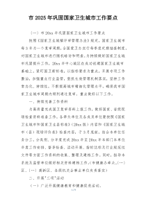 市2025年巩固国家卫生城市工作要点