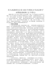 区人民政府办公室2026年度民主生活会班子对照检查材料(五个带头)