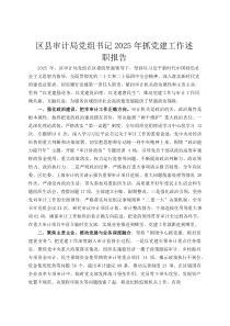区县审计局党组书记2026年抓党建工作述职报告