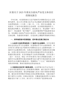 区委关于2026年落实全面从严治党主体责任的情况报告