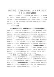 区委常委、区委宣传部长2026年度民主生活会个人对照检查材料