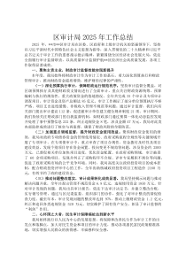 区审计局2026年工作总结